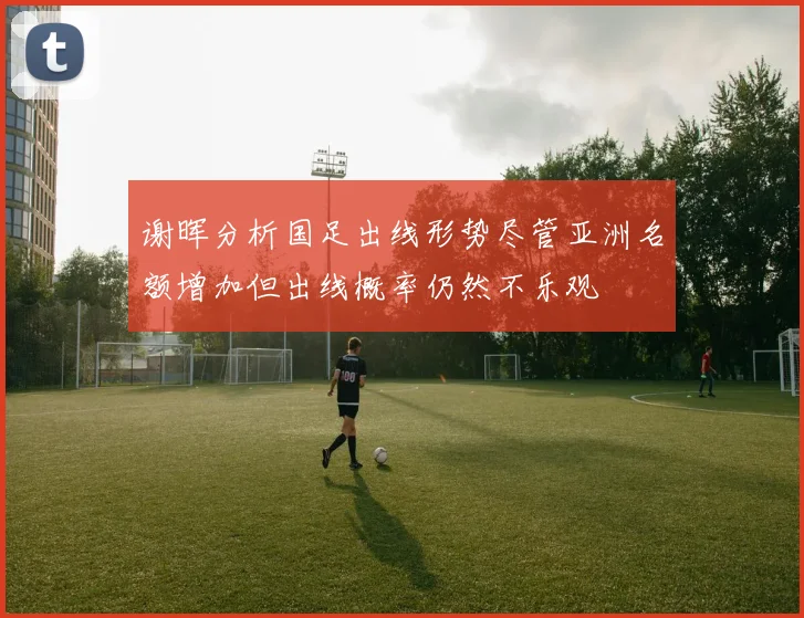 谢晖分析国足出线形势尽管亚洲名额增加但出线概率仍然不乐观